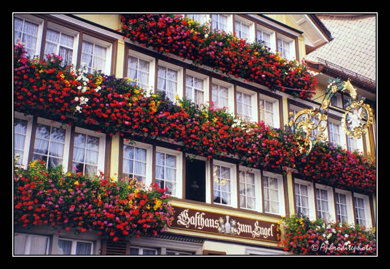 10 Typische Fassade in Urnäsch